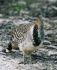 Ongerup ACT Accommodation ACT