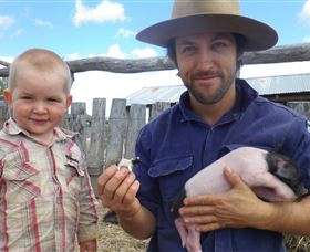 Gleneden Organic Farm And The Gleneden Bullock Team - Accommodation ACT 2