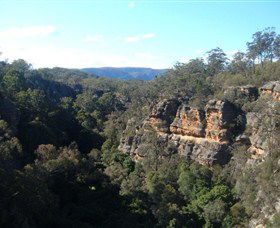 Ferntree Gully Reserve - Accommodation ACT 0