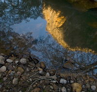 Abercrombie Karst Conservation Reserve - Accommodation ACT