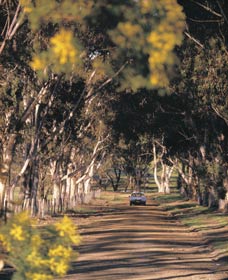 Albert Facey Heritage Trail - Accommodation ACT 0
