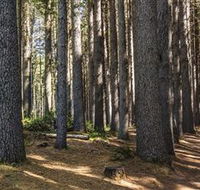 Sugarpine Walk - Accommodation ACT