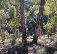 Mount Gray walking track - Accommodation ACT