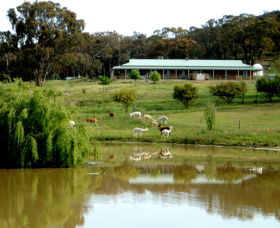 Clearview Alpacas - Accommodation ACT 0