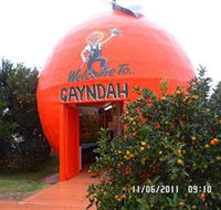 Gayndahs Big Orange - Accommodation ACT