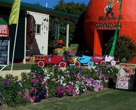 Gayndahs Big Orange - Accommodation ACT 1