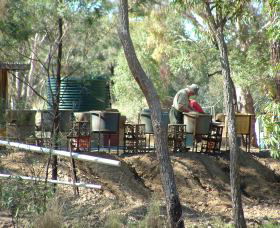 7 Oaks Sapphire Fossicking - Accommodation ACT 0