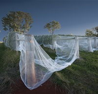 Toppers Mountain Wines - Accommodation ACT