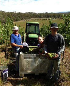 Toppers Mountain Wines - Accommodation ACT 2