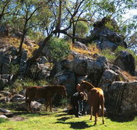 Coomba Falls - Accommodation ACT