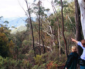 Hume And Hovell Walking Track - Accommodation ACT 5
