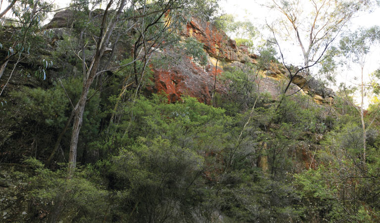 Vale Of Clwydd NSW Accommodation ACT