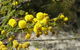 Torrington State Conservation Area - thumb 3