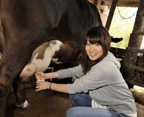 Warrook Farm - Accommodation ACT 2