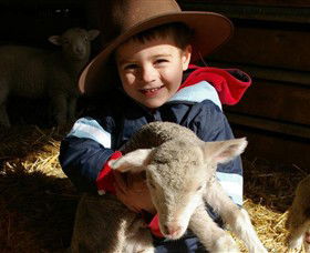 Warrook Farm - Accommodation ACT 1