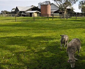 Warrook Farm - Accommodation ACT 4