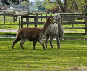 Warrook Farm - Accommodation ACT 6