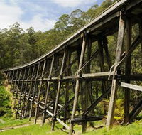 Noojee Trestle Bridge - Accommodation ACT