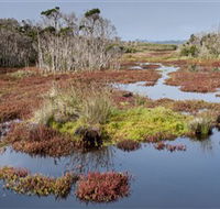French Island National Park - Accommodation ACT