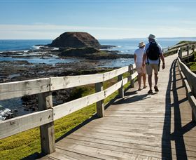Phillip Island Nature Parks - Accommodation ACT 3