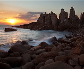 Phillip Island Nature Parks - Accommodation ACT 6