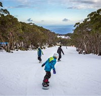 Mt Baw Baw Alpine Resort - Accommodation ACT