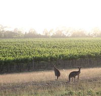 Small Forest Wine - Accommodation ACT