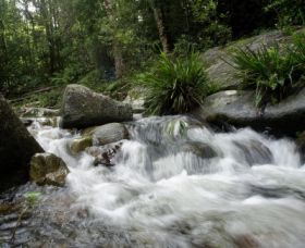 Washpool National Park - Accommodation ACT 0