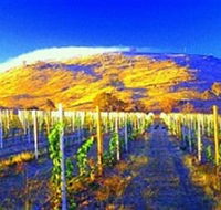 Surveyors Hill Winery - Accommodation ACT