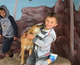 Maru Koala And Animal Park - Accommodation ACT 3