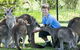 Maru Koala And Animal Park - thumb 4