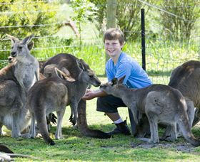 Maru Koala And Animal Park - Accommodation ACT 4
