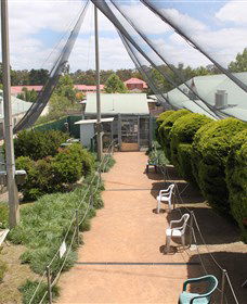 Canberra Walk In Aviary - Accommodation ACT 3