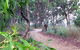 Mount Mutton Walking Trail - thumb 0