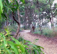 Mount Mutton Walking Trail - Accommodation ACT