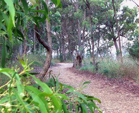 Mount Mutton Walking Trail - Accommodation ACT 0