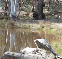 Mulligans Flat - Accommodation ACT