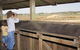 Dangars Lagoon And Racecourse Lagoon - thumb 0