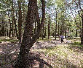 The National Arboretum Canberra - Accommodation ACT 3