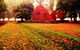 Gostwyck Chapel - thumb 0