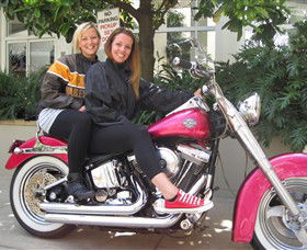 Wild Ride Harley And Motorcycle Tours - Accommodation ACT 0