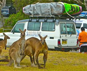 Surfaris Surf Camp - Accommodation ACT 3