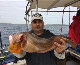 Deep Sea Fishing Charter - Accommodation ACT 5