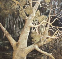 Ku-Ring-Gai Art Centre  Gallery - Accommodation ACT