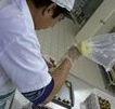 Fremantle Chocolate Pty ltd - Accommodation ACT
