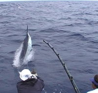 Amokura Charters - Accommodation ACT
