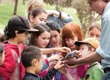 Blackbutt Reserve - Accommodation ACT 2