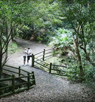Blackbutt Reserve - Accommodation ACT 3