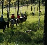 Hunter Valley Horse Riding and Adventures - Accommodation ACT
