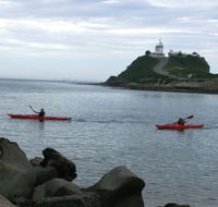 Newcastle Kayak Tours - Accommodation ACT
